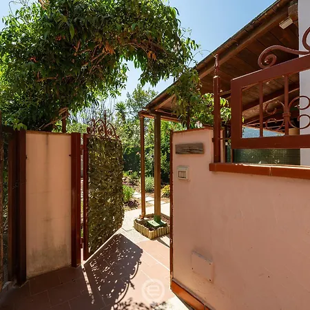 Grace's House
